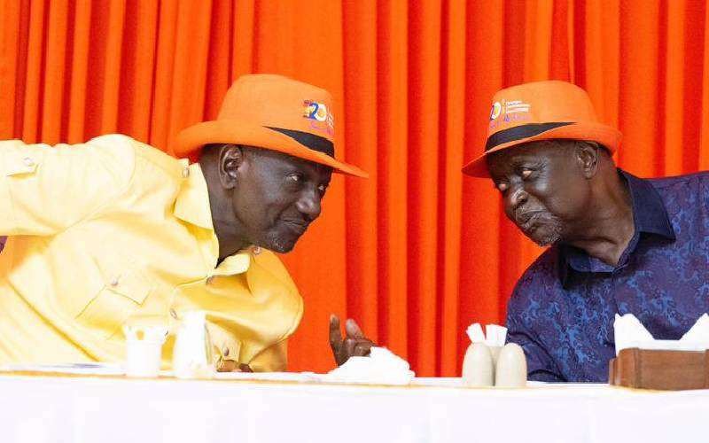 Yet another committee: UDA, ODM form joint team to align gov’t agenda